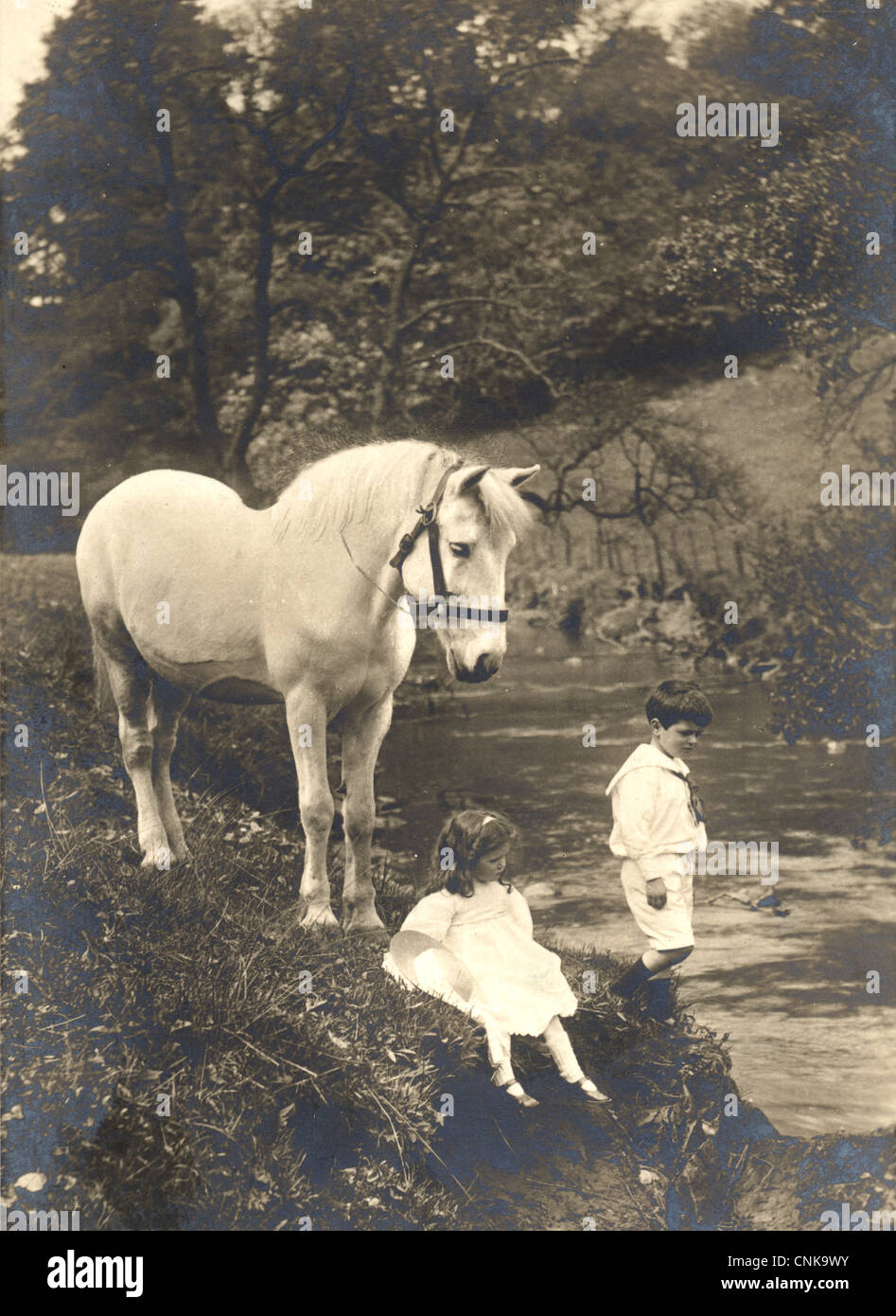 Brother & Sister with a Horse in Idyllic Setting Stock Photo Alamy
