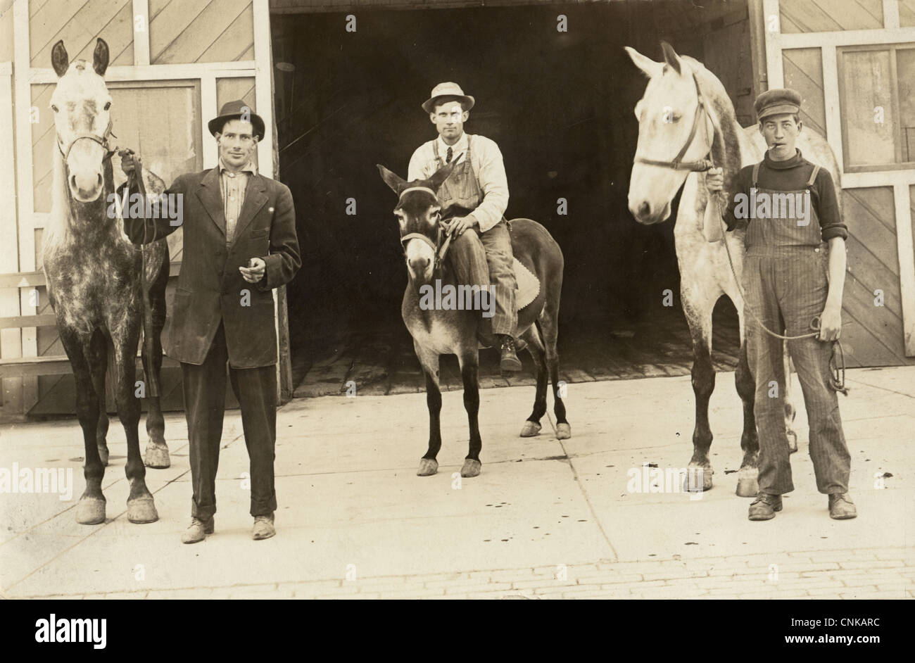 Three Men at Stable with Horses & Donkey Stock Photo