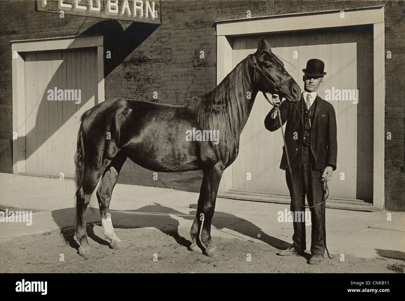 Owner Proudly Displays his Horse at Feed Barn Stock Photo