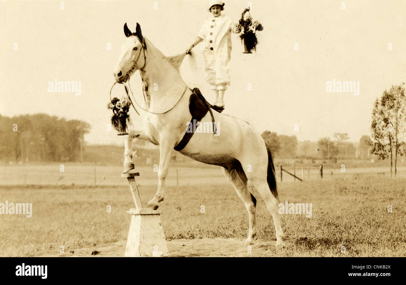 Circus Clown Girl & Trained White Horse Stock Photo