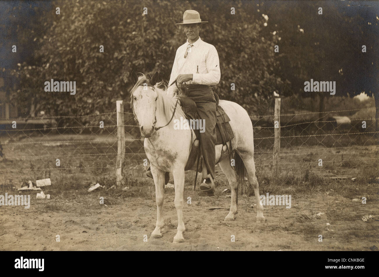 Distinguished Tall Man Riding a White Horse Stock Photo
