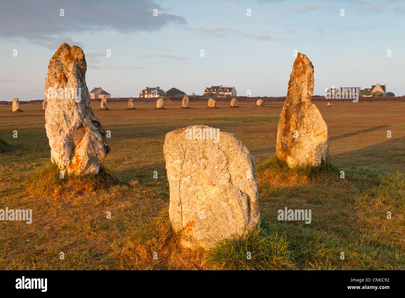 Stones in the alignments at Lagatjar, on the outskirts of Camaret-sur-Mer, Brittany, France. Stock Photo