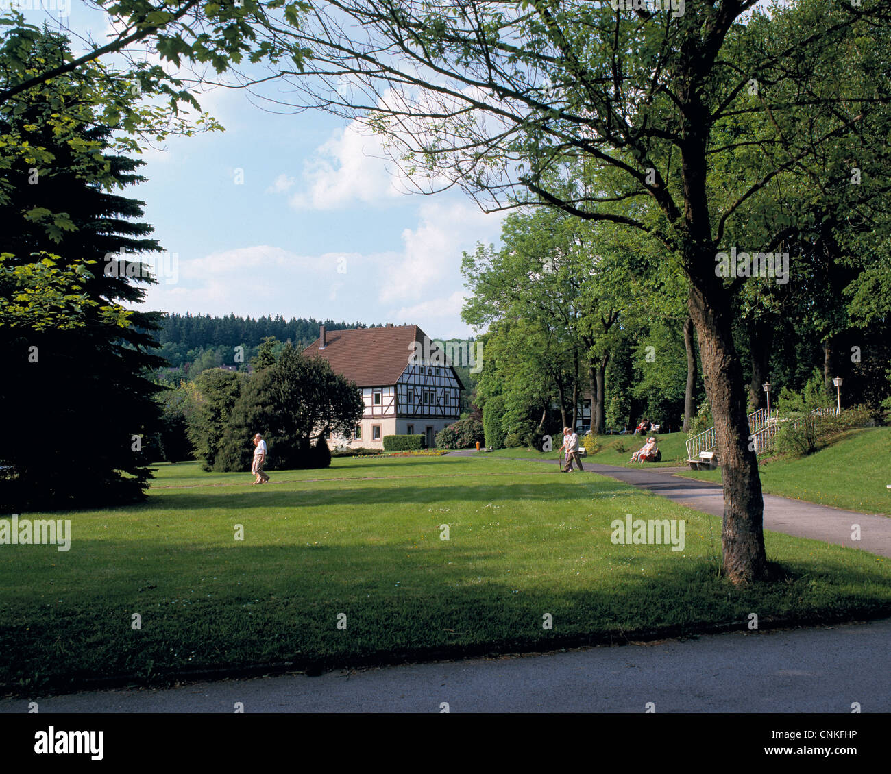 Nature reserve solling vogler hires stock photography and images Alamy
