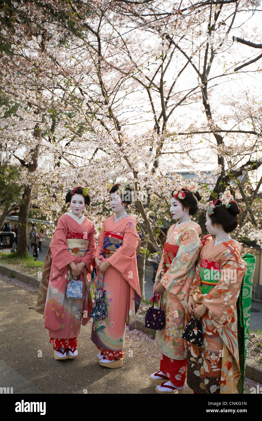 Girls dressed as maiko or geisha enjoy the cherry blossom flowers, at cherry blossom season, in Gion, Kyoto, Japan. Stock Photo