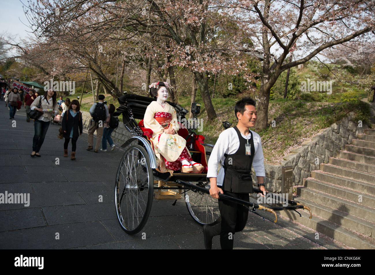 Girls dressed as maiko or geisha enjoy the cherry blossom flowers, at cherry blossom season, in Gion, Kyoto, Japan. Stock Photo