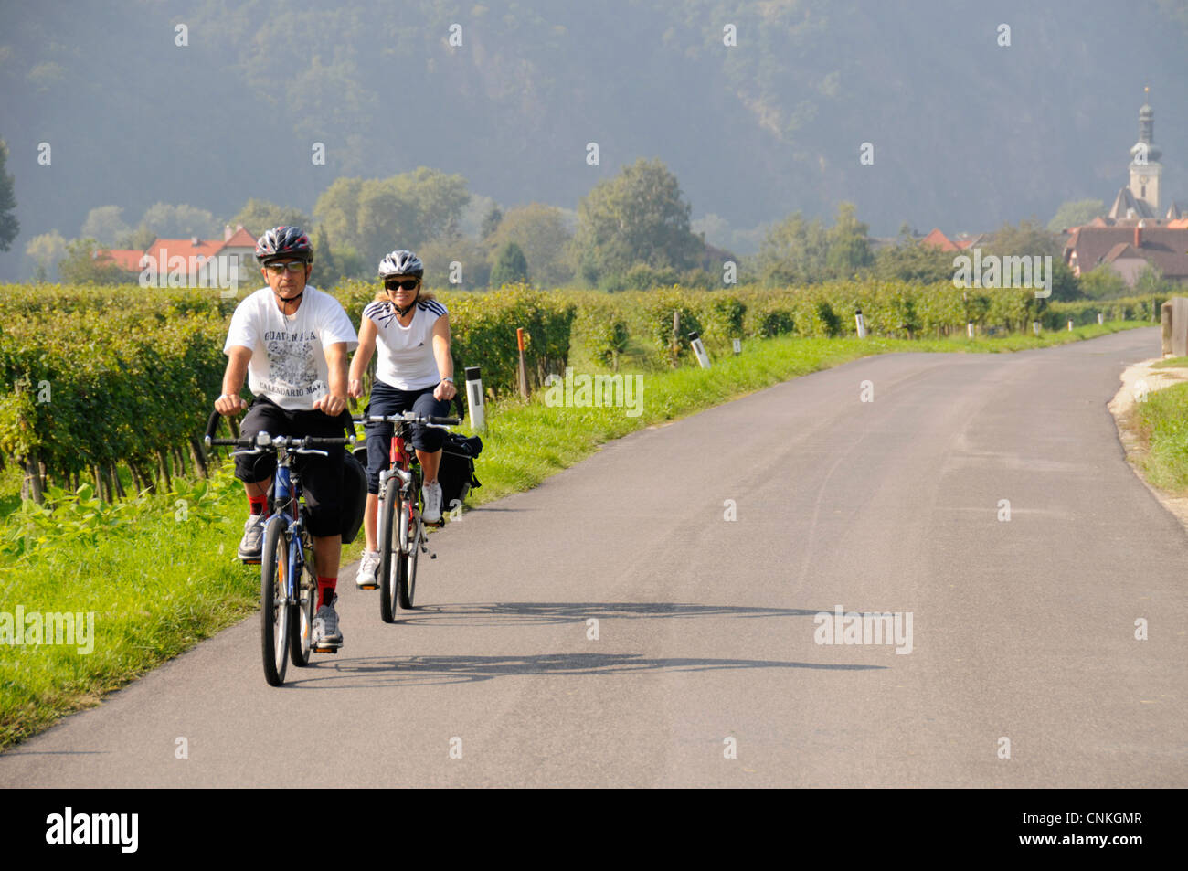 Two cyclists on a cycling holiday near the village of Unterloiben in the wine-growing of Wachau region, Lower Austria, Austria Stock Photo