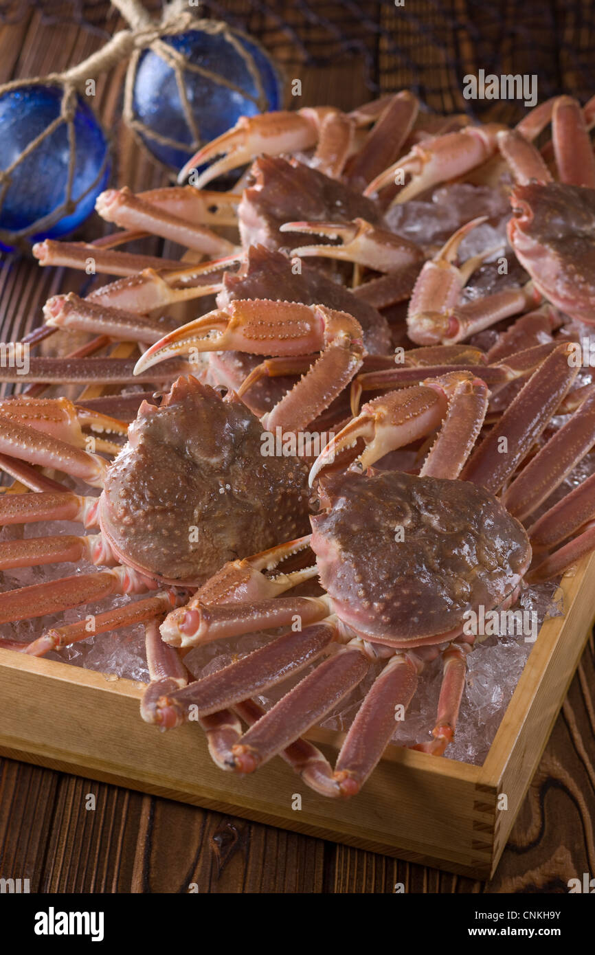 Snow crab hires stock photography and images Alamy