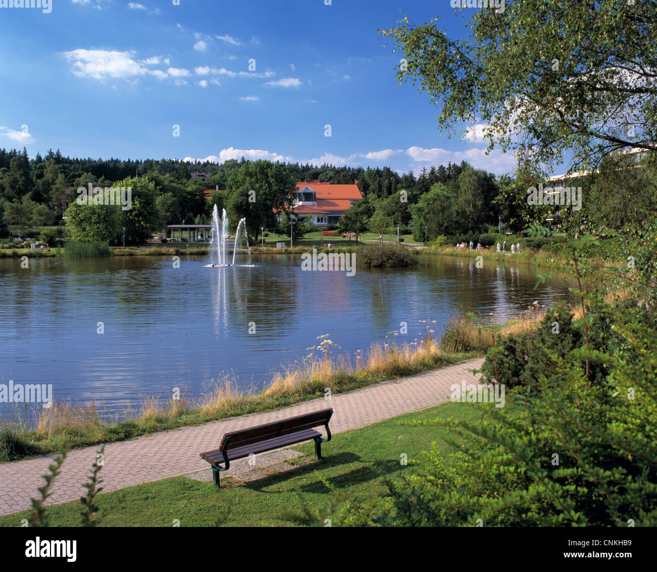 Kurpark und Kleiner Kranicher Teich in HahnenkleeBockswiese, Goslar