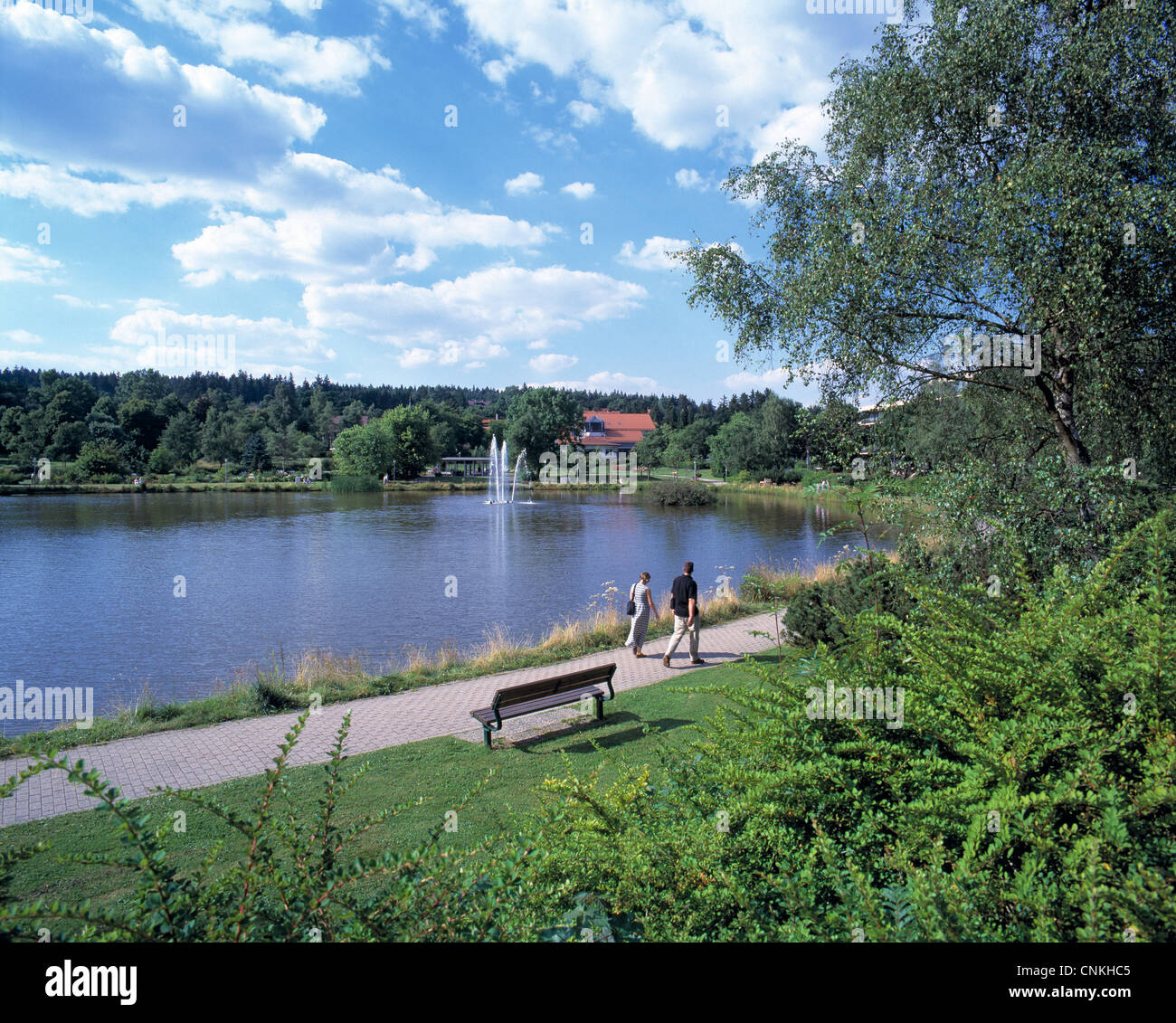 Kurpark und Kleiner Kranicher Teich in HahnenkleeBockswiese, Goslar