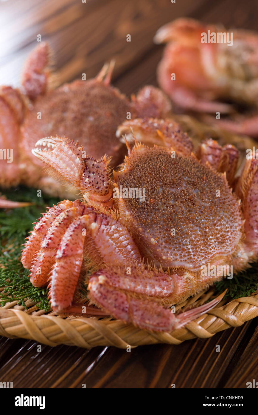 Horsehair crab hires stock photography and images Alamy