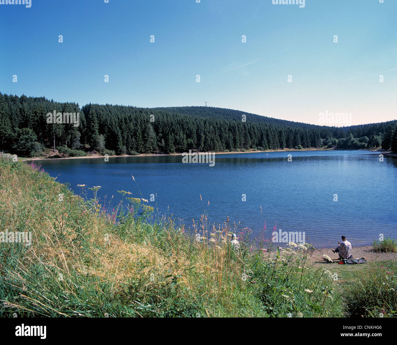 UNESCO Weltkulturerbe, Oberharzer Wasserwirtschaft, Oberharzer