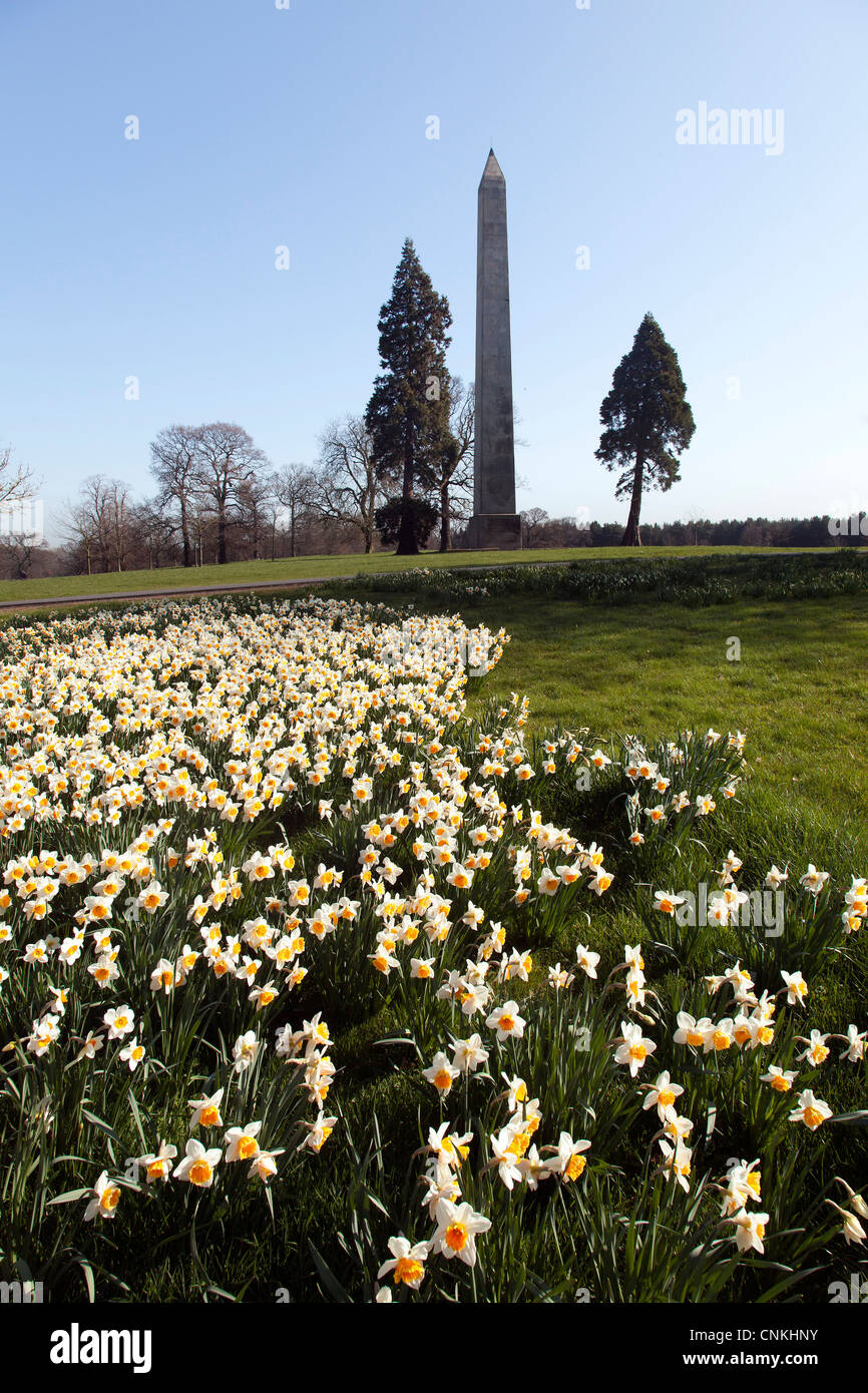 Billingham hires stock photography and images Alamy