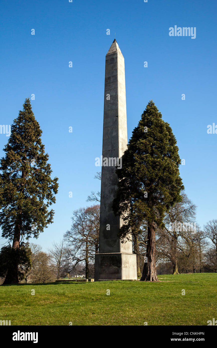 The Wellington Monument, Wynyard Estate, Billingham, Cleveland Stock ...