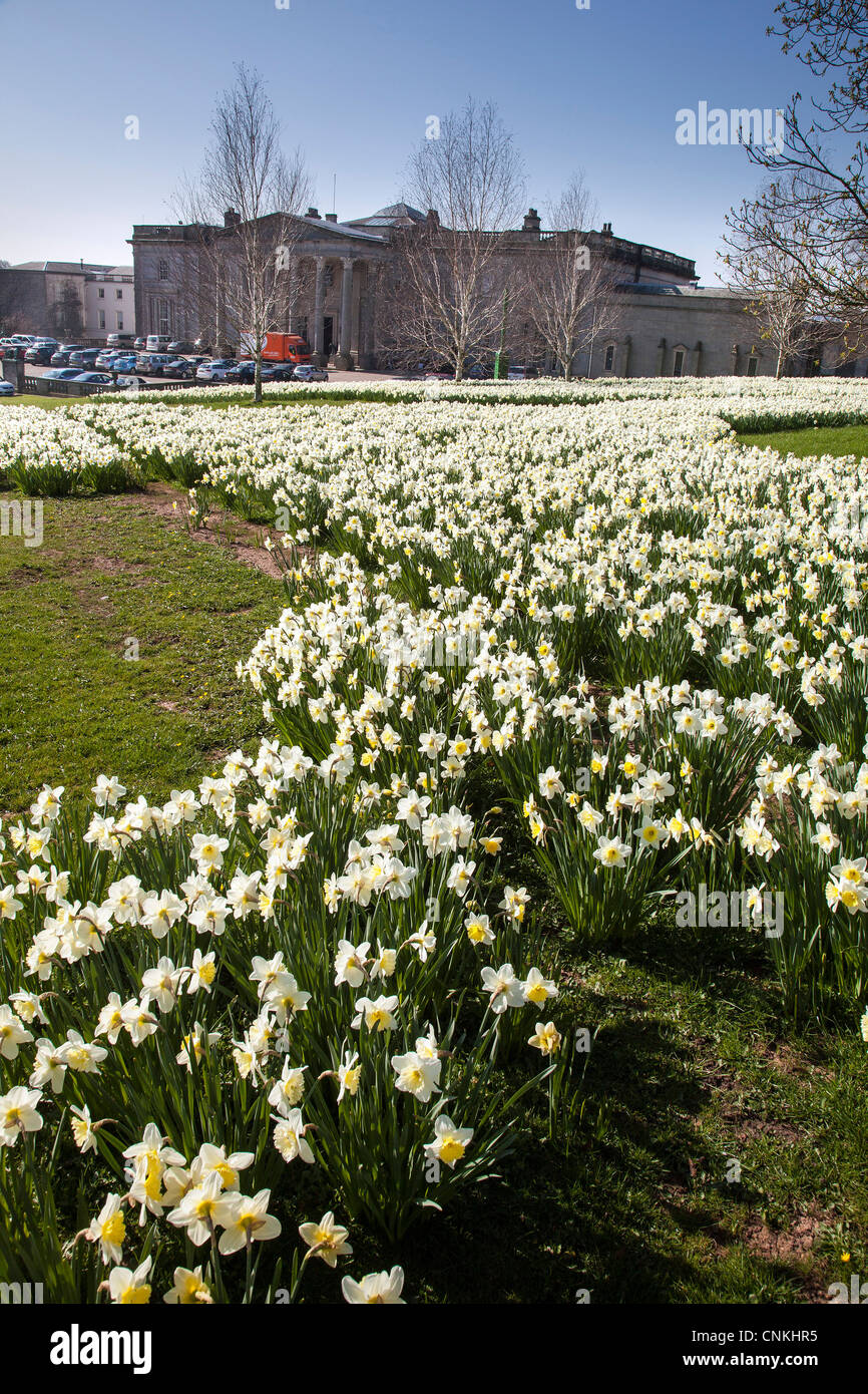 Billingham hires stock photography and images Alamy
