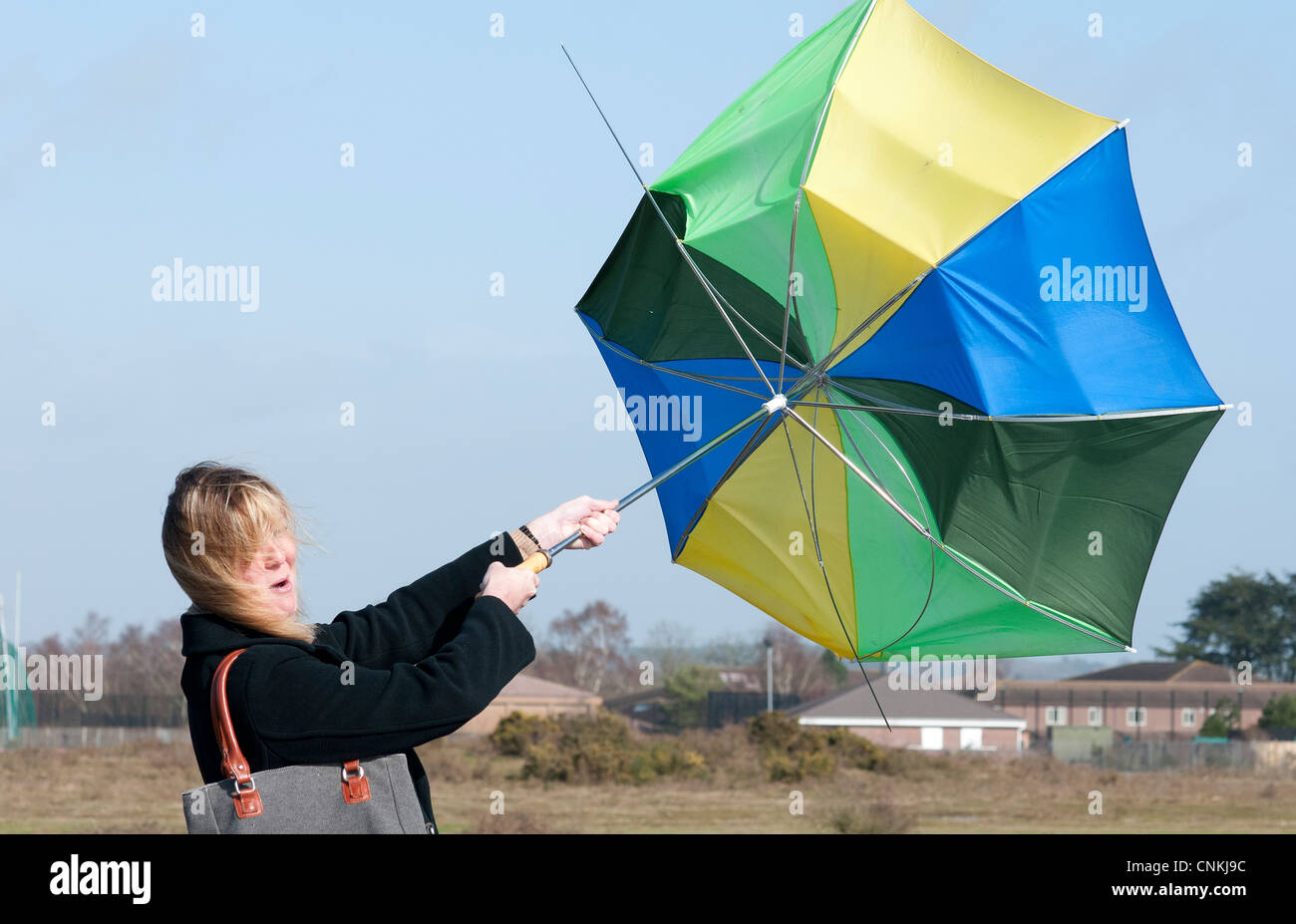 Woman struggling to hold her umbrella in high winds Stock Photo Alamy