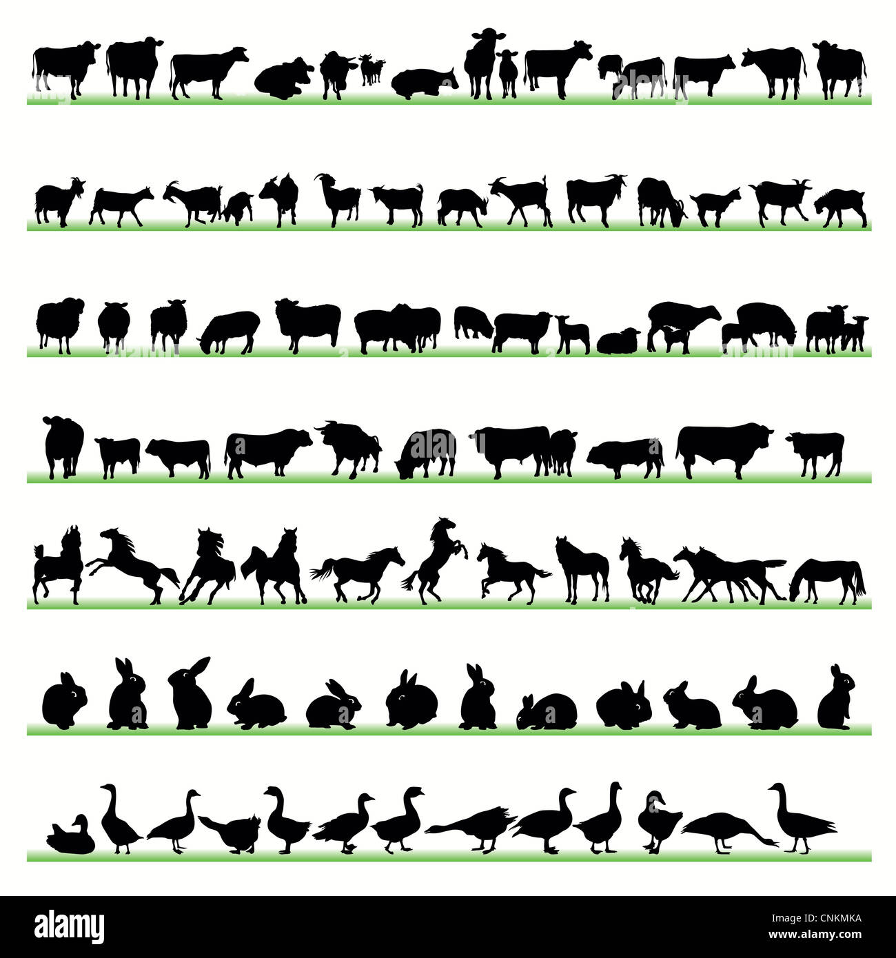Farm animals silhouettes set Stock Photo - Alamy