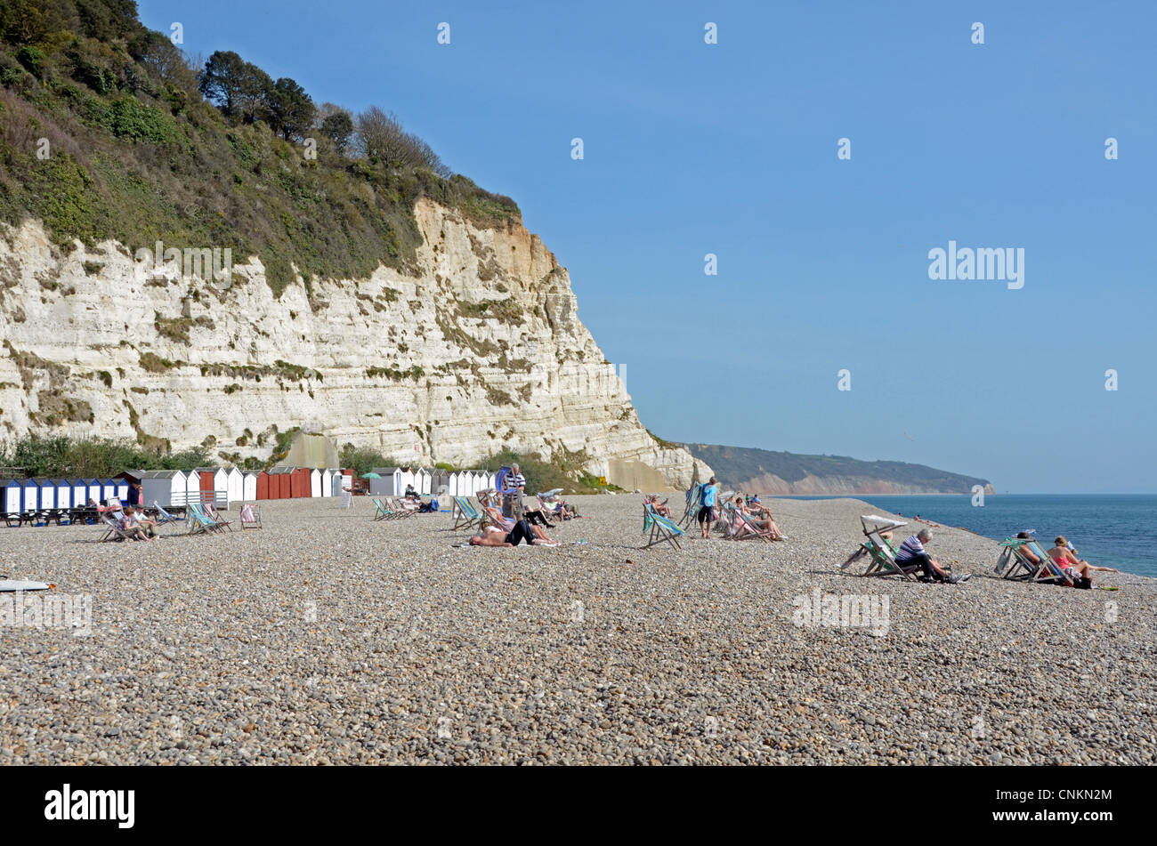 The beach at Beer, Devon Stock Photo Alamy