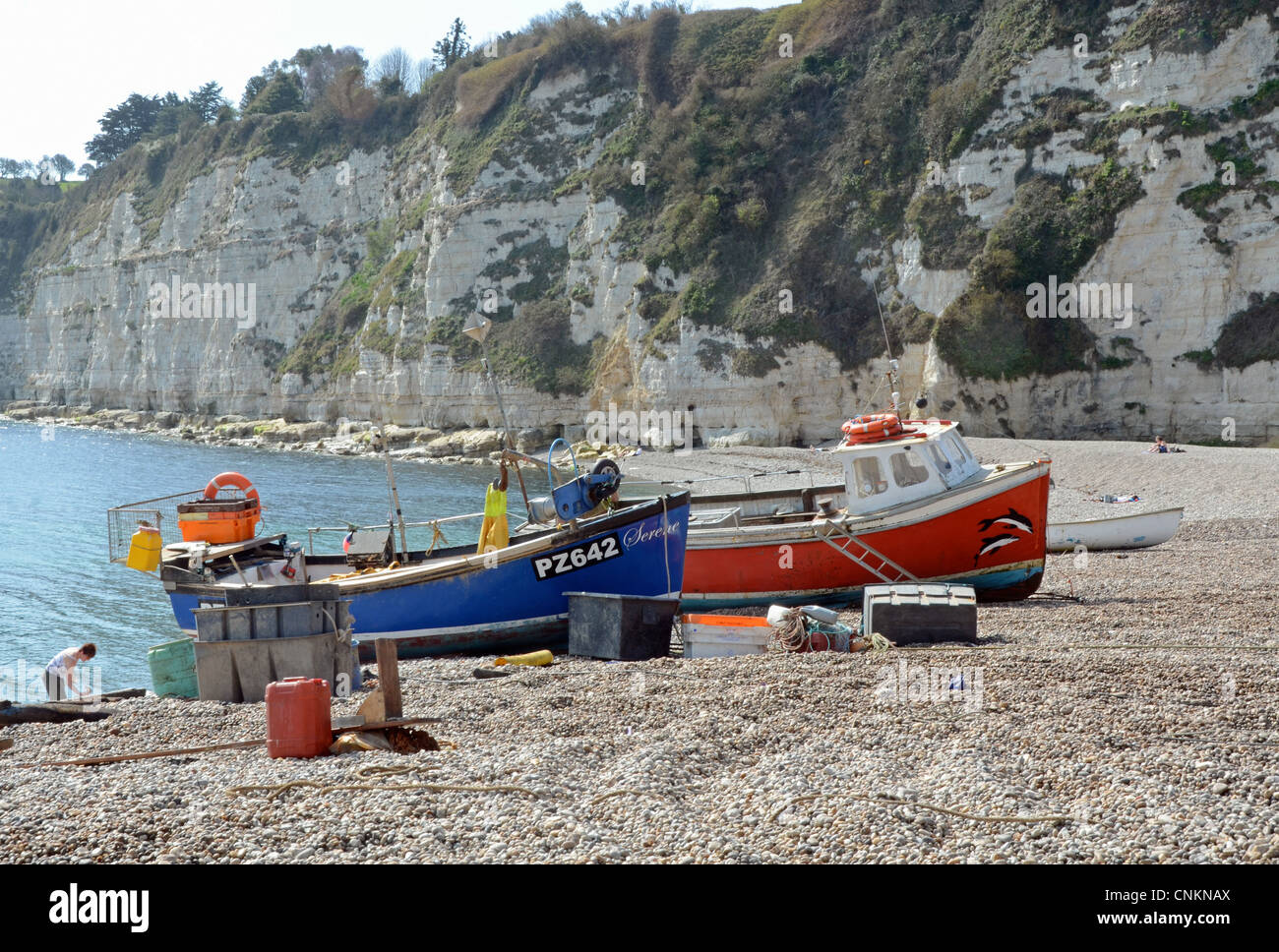 The beach at Beer, Devon Stock Photo Alamy