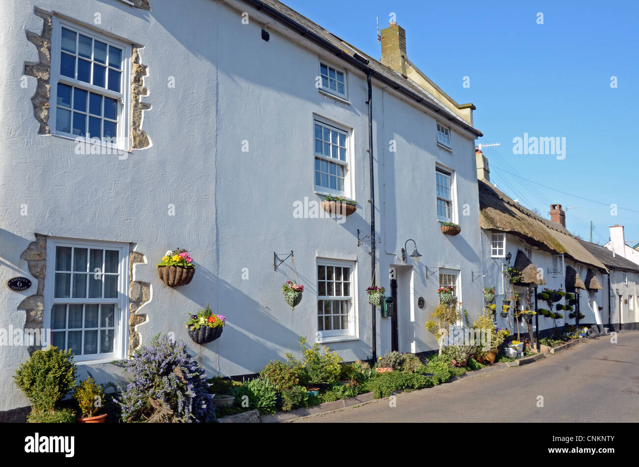 Cottages at Branscombe, Devon, England Stock Photo