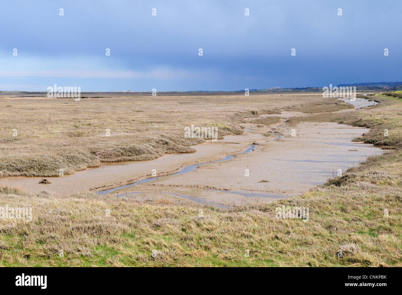 Saltmarshes near Thornham, Norfolk, England, UK Stock Photo