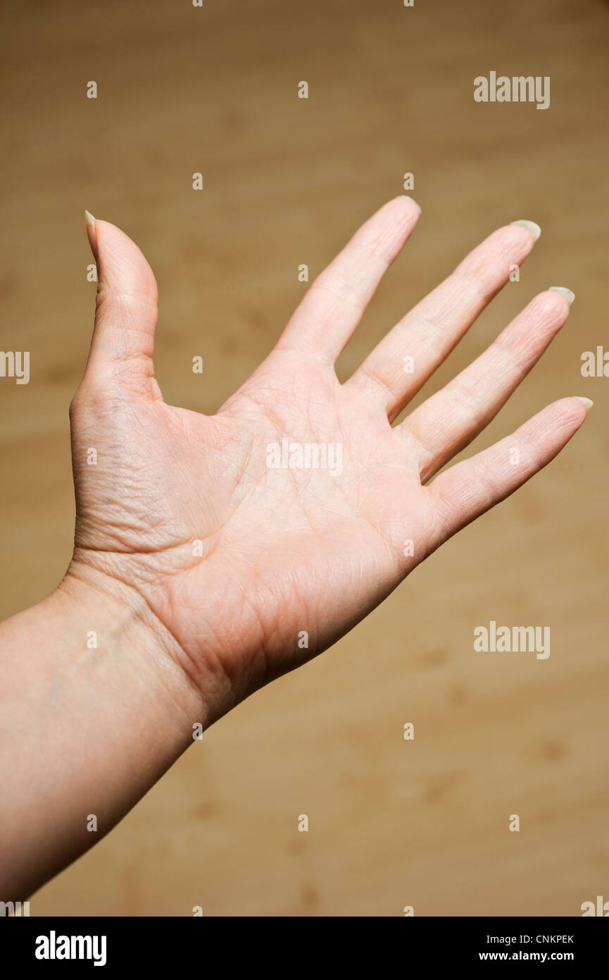 female open palm of hand Stock Photo