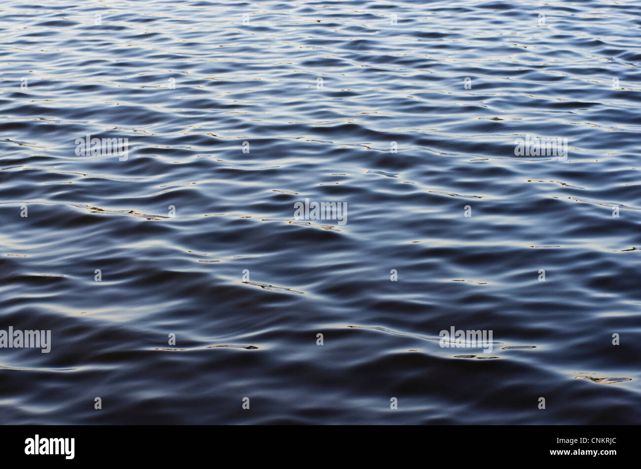 Water in Sydney Harbour Stock Photo Alamy