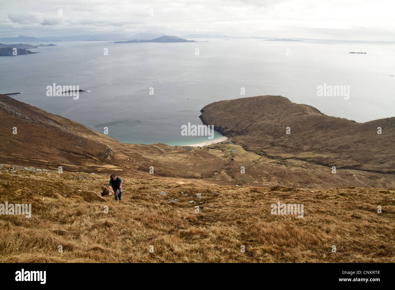 Sea cliffs at Achill Head, Mayo, Ireland Stock Photo Alamy