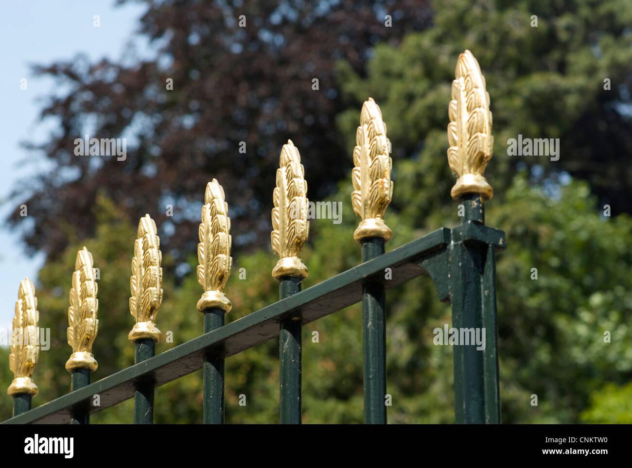 Iron railing with gold tips, UK Stock Photo