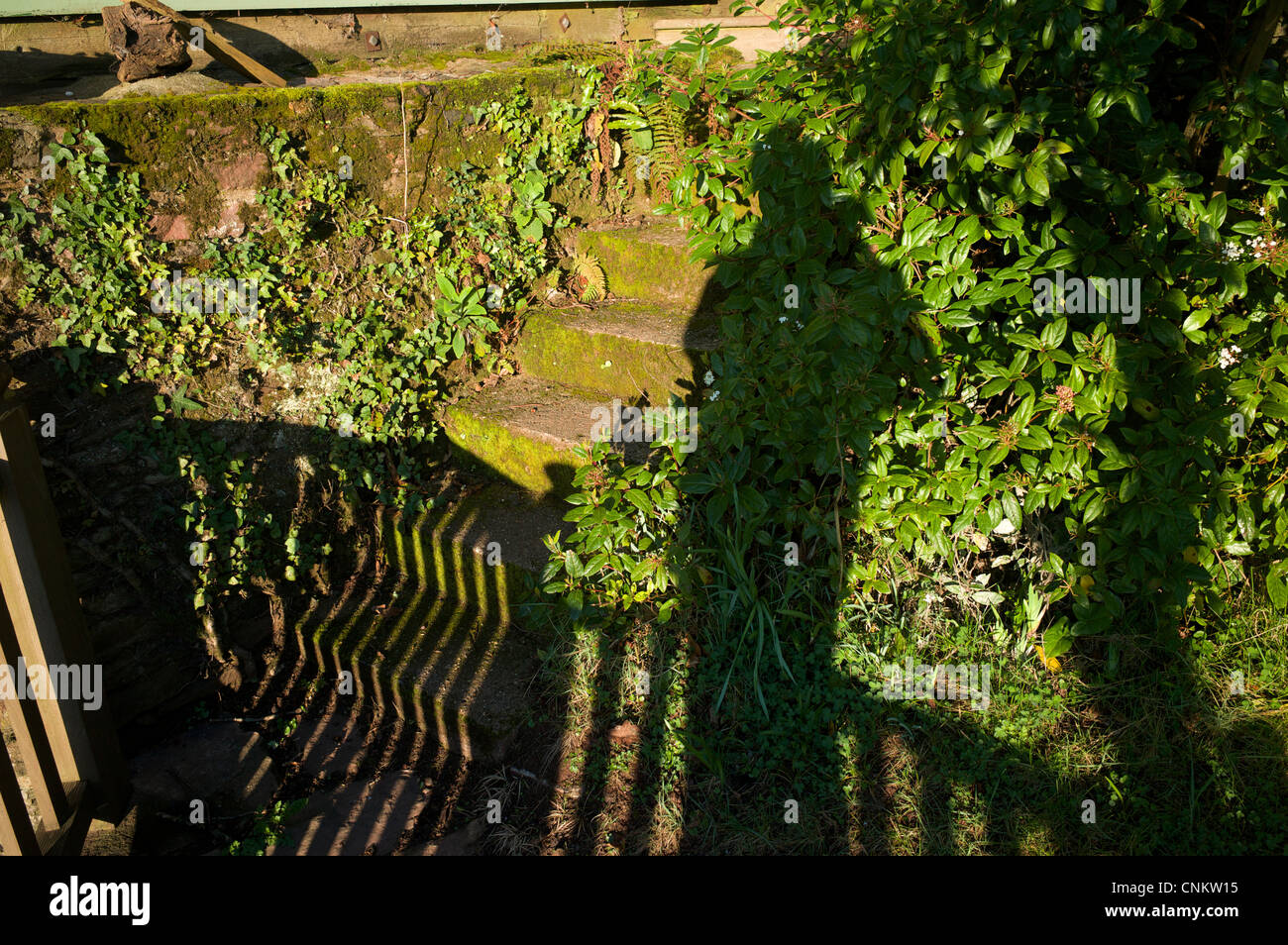Shadow of a person Stock Photo