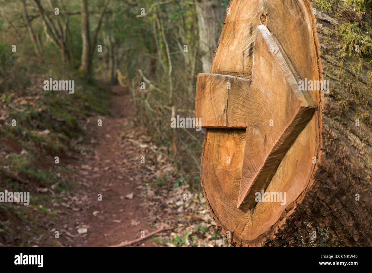 Carved waymarker on footpath South Devon UK Stock Photo
