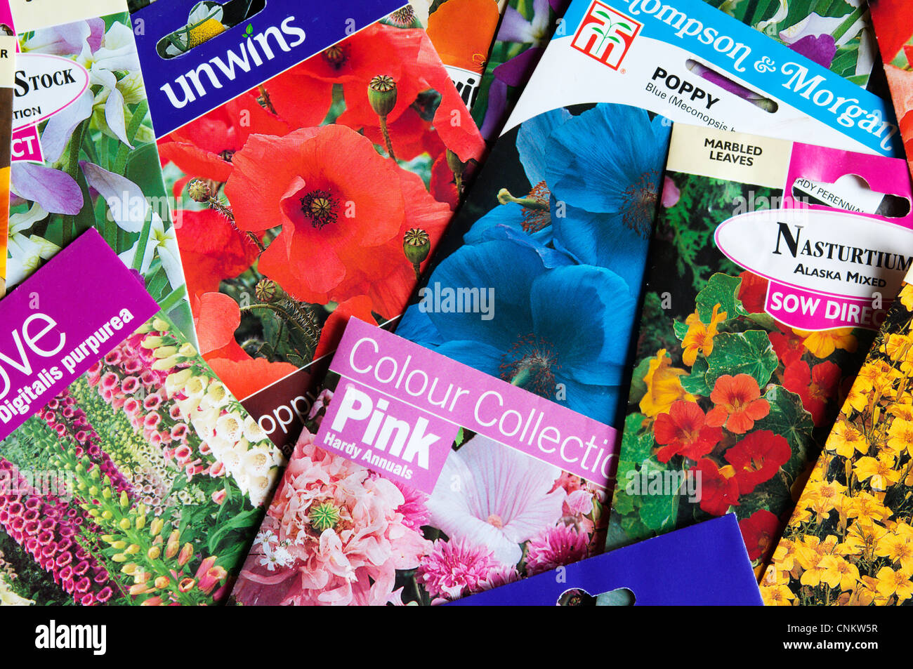 Seed Packets High Resolution Stock Photography and Images Alamy