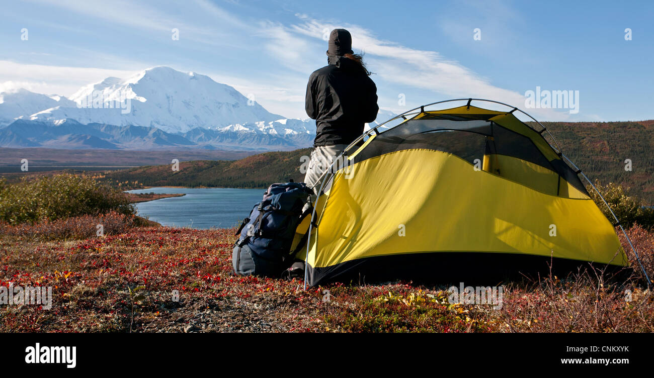 Backpacker contemplating McKinley mountain (20.320ft.). Denali National Park. Alaska. USA Stock Photo