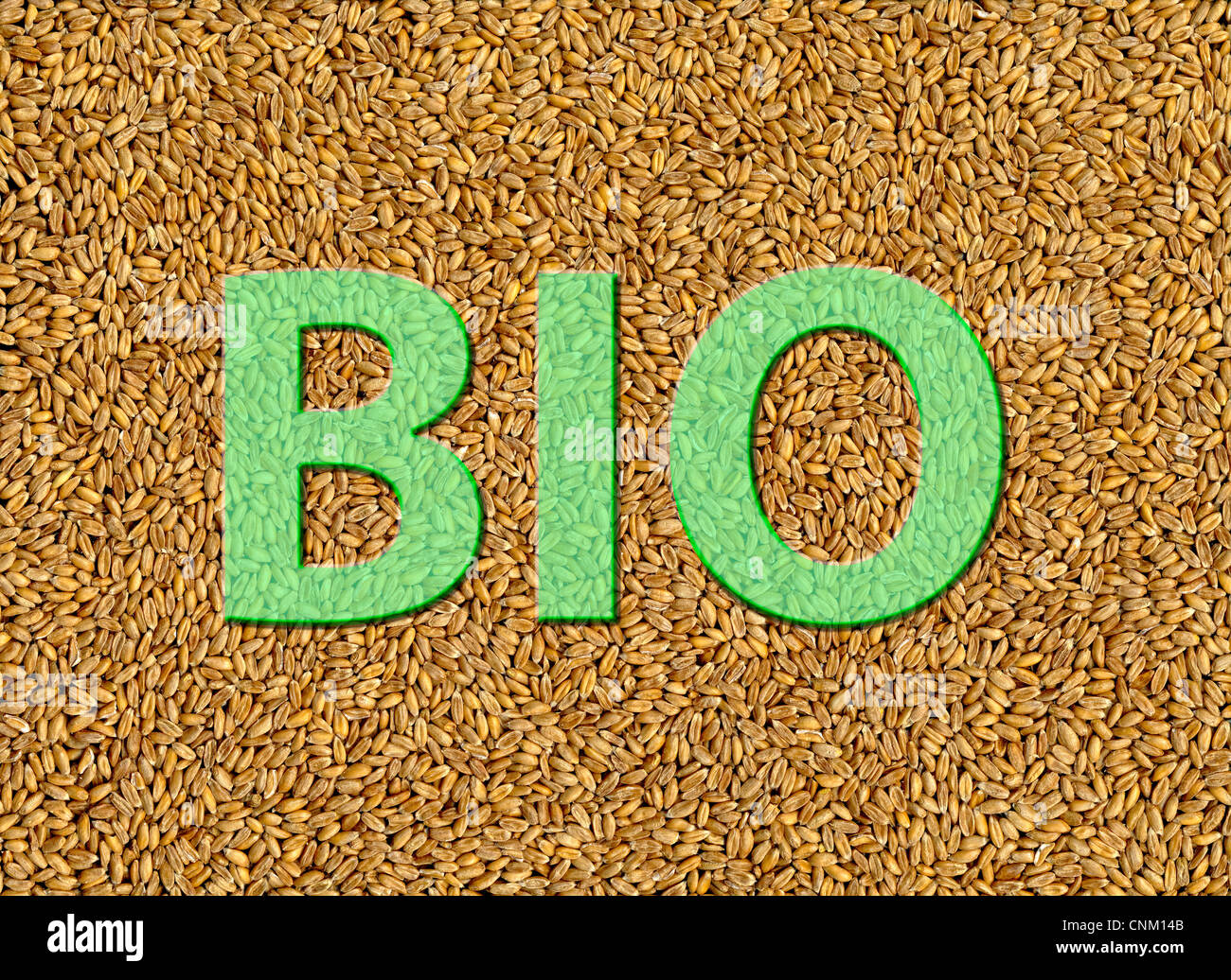 Lettering Bio on spelt, Dinkel Triticum aestivum subsp. spelta Stock Photo