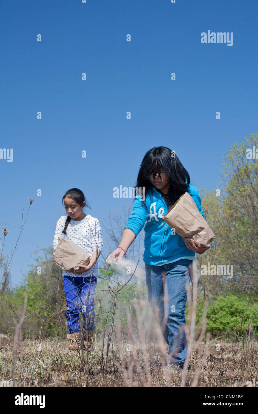 Elementary school children sow seeds to restore native prairie after it was intentionally burned to eliminate invasive species. Stock Photo