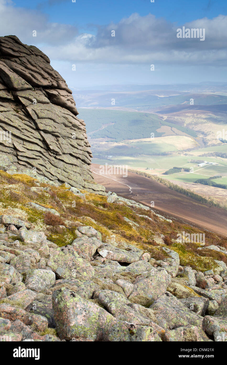 Ben Rinnes; Cairngorms; Scotland; UK Stock Photo - Alamy