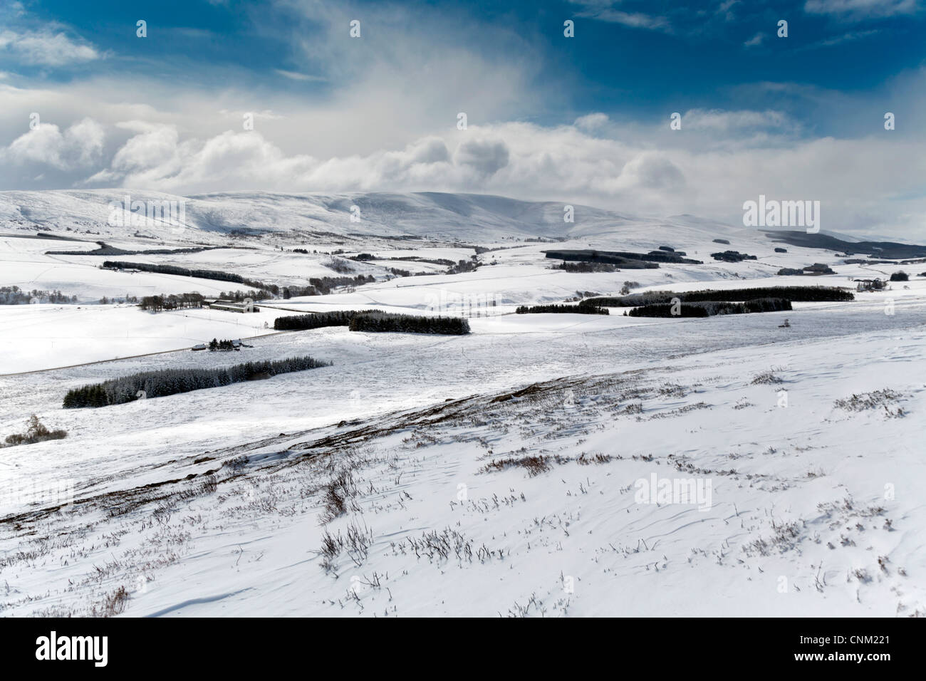 Ben Rinnes; Cairngorms; Scotland; UK; in snow Stock Photo - Alamy