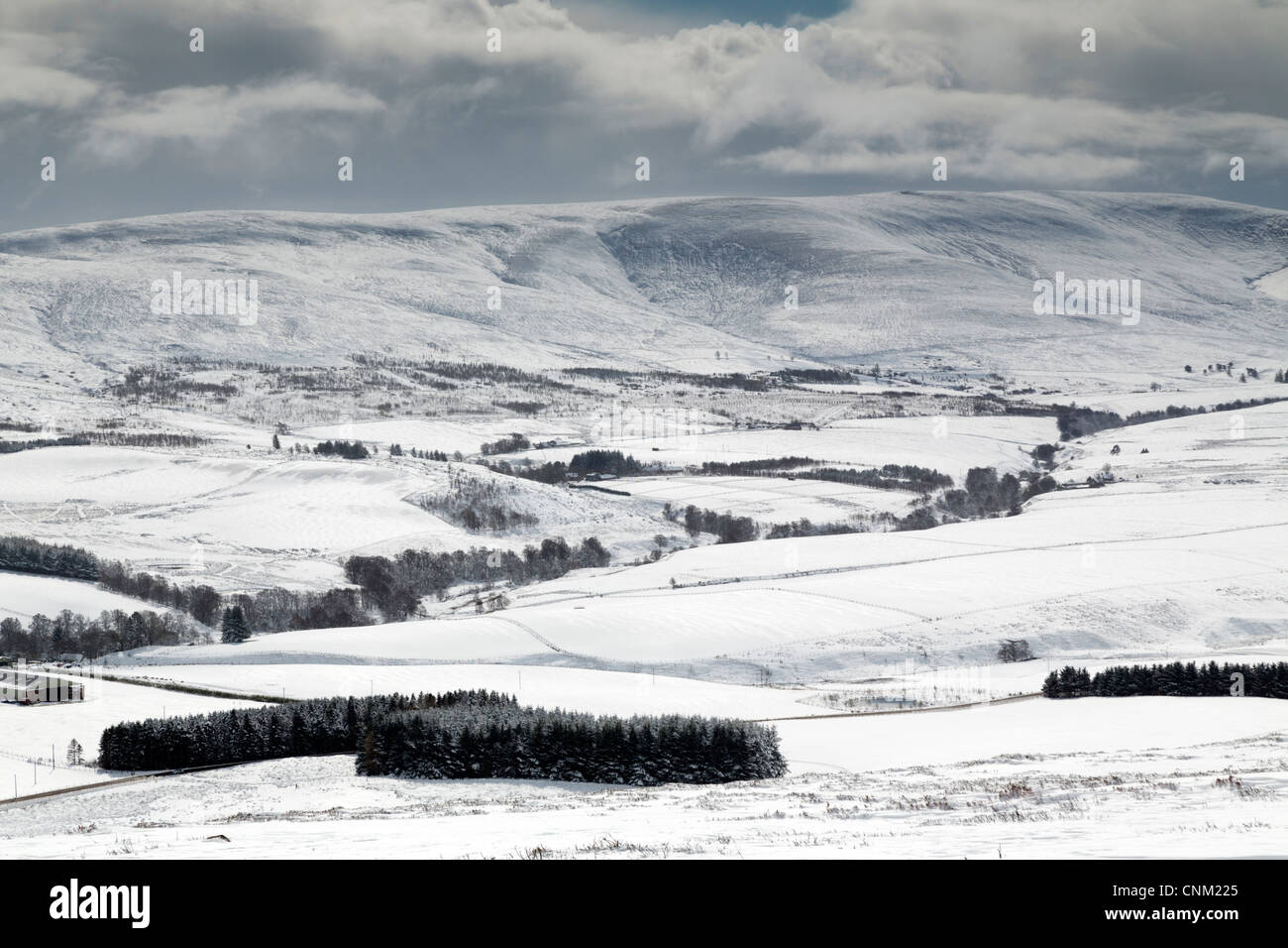 Ben Rinnes; Cairngorms; Scotland; UK; in snow Stock Photo