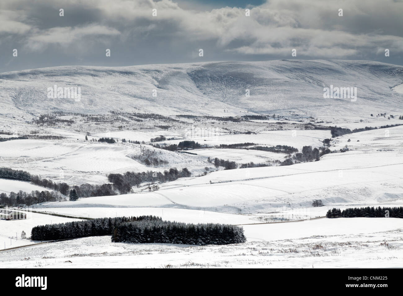 Ben Rinnes; Cairngorms; Scotland; UK; in snow Stock Photo - Alamy