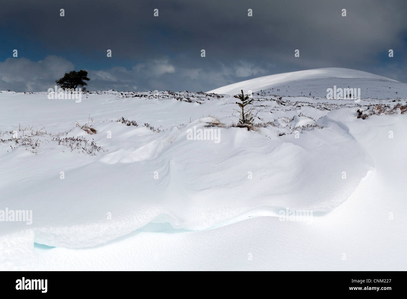 Ben Rinnes; Cairngorms; Scotland; UK; in snow Stock Photo - Alamy