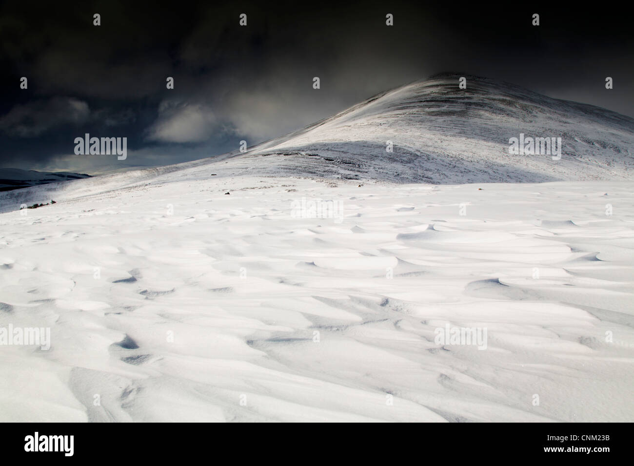 Ben Rinnes; Cairngorms; Scotland; UK; in snow Stock Photo