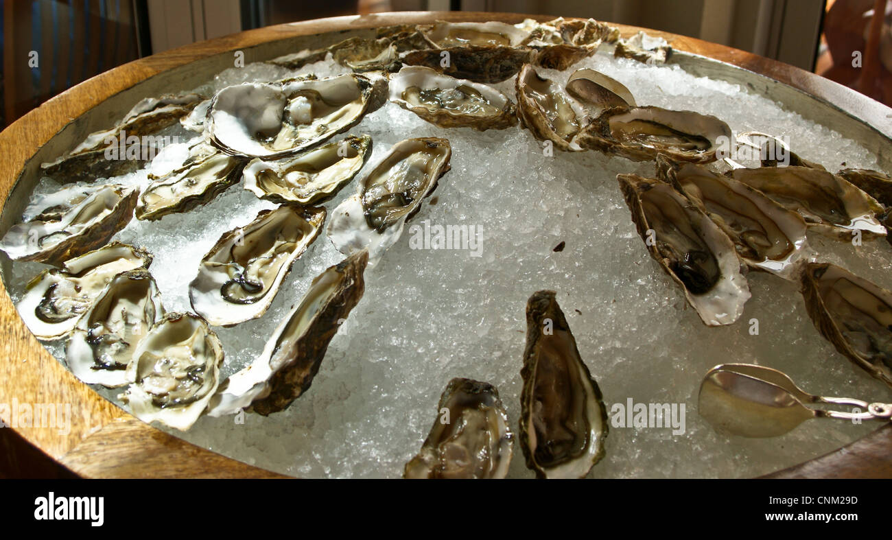 French Cadoret Brittany oysters on ice at Friday Brunch at Park Hyatt Hotel, Dubai Creek, Dubai, United Arab Emirates Stock Photo