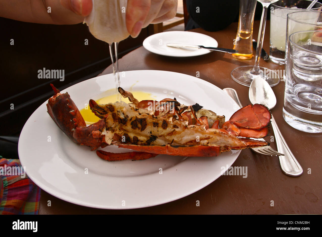 Banquet cuisine lobster seafood hires stock photography and images Alamy