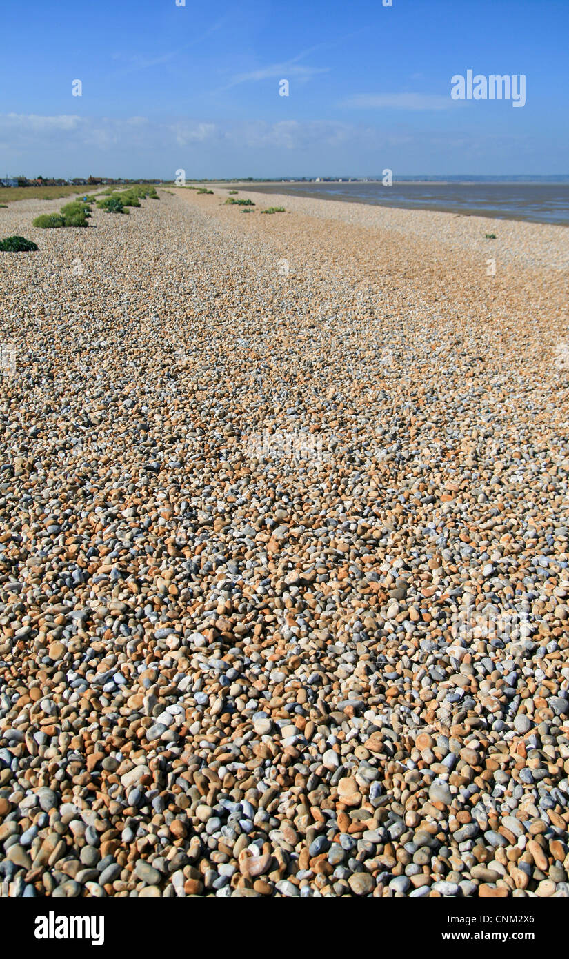 shingle beach Greatstone Kent England UK Stock Photo Alamy