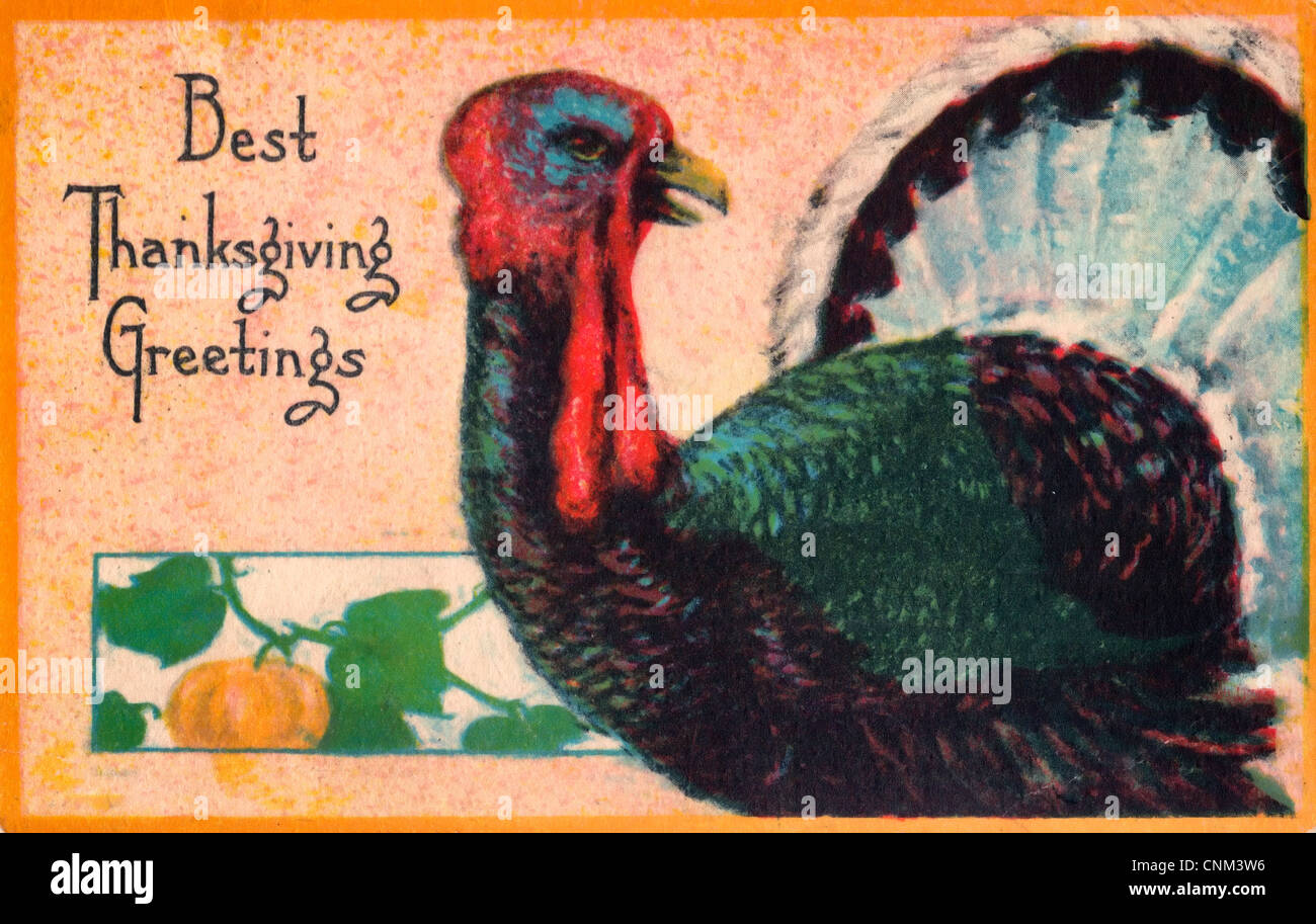Best Thanksgiving Greetings - Turkey on vintage card Stock Photo