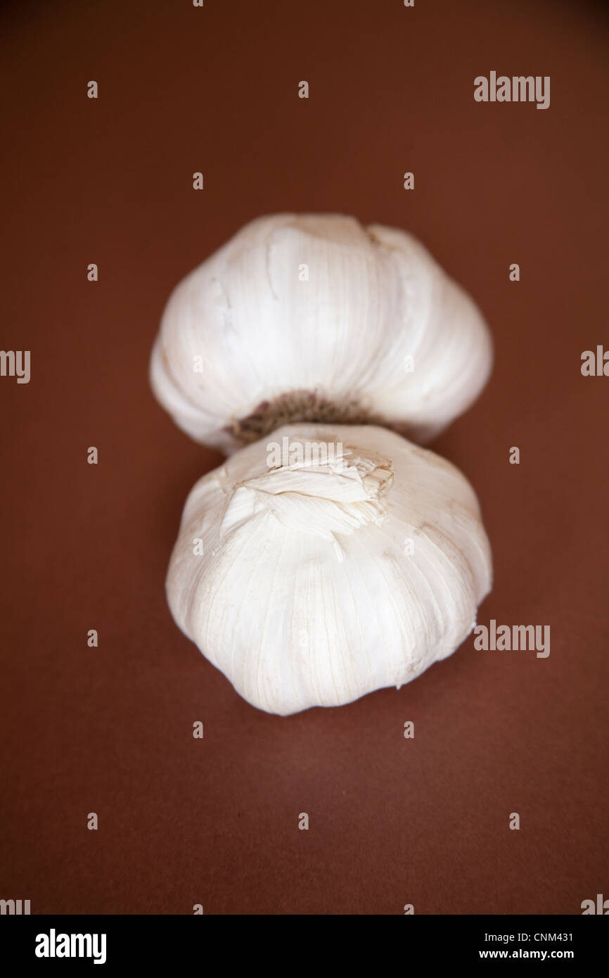 Fresh garlic bulbs Stock Photo