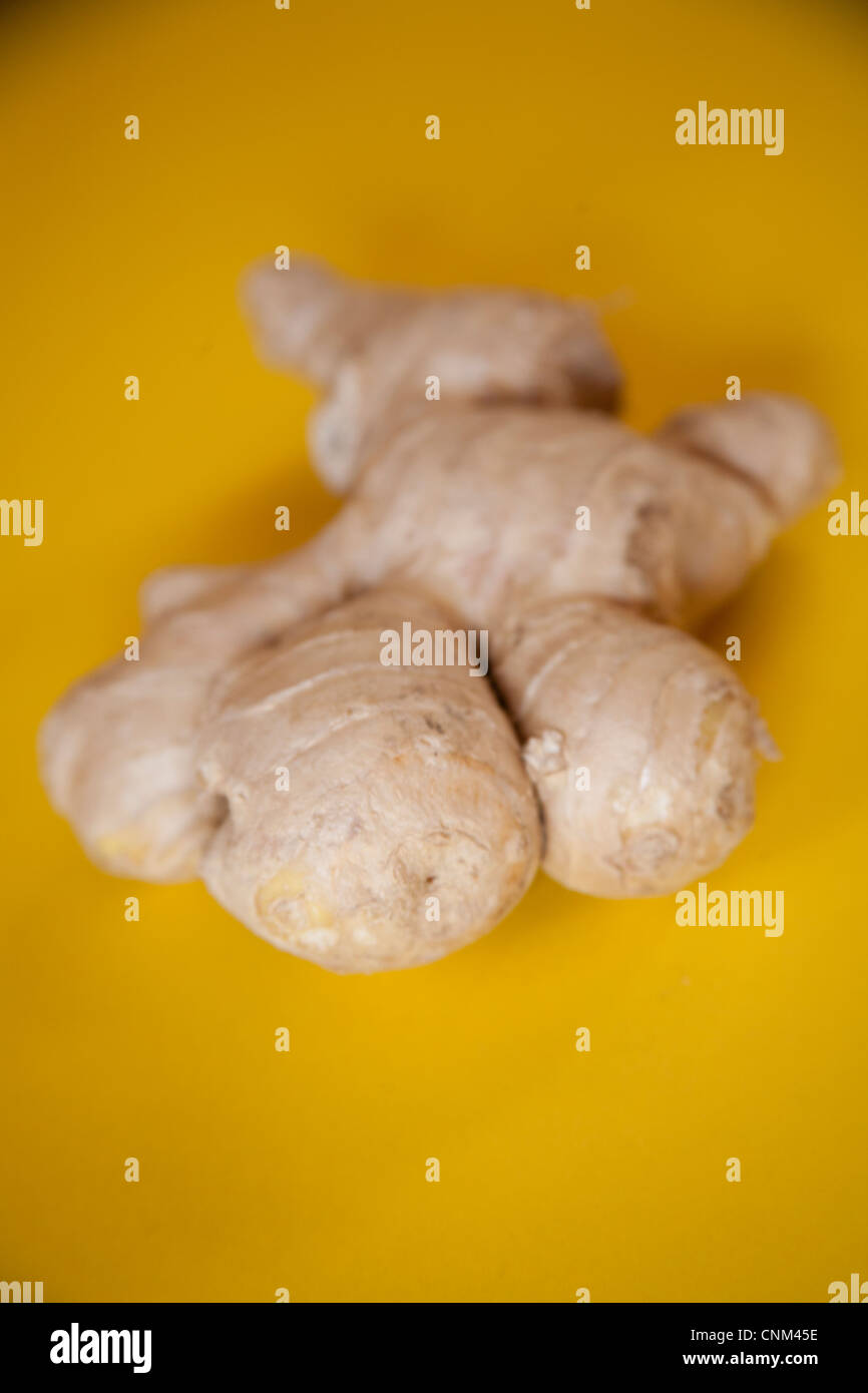 Raw ginger root Stock Photo Alamy