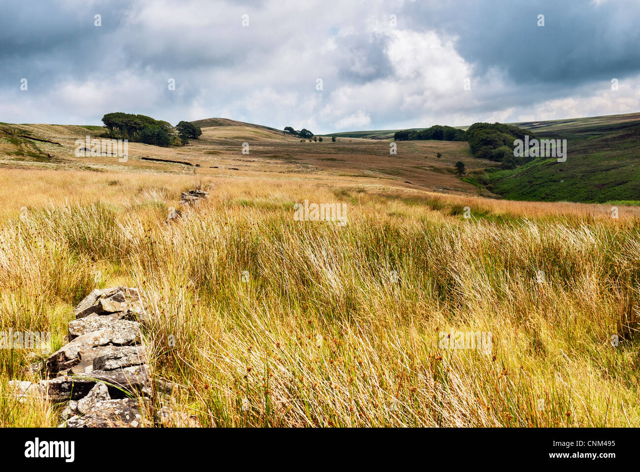 Rugged moorland and old drystone wall Stock Photo