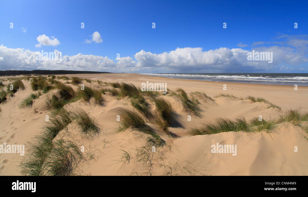 Sand dunes and sea at Holkham Bay on the North Norfolk coast. Stock Photo