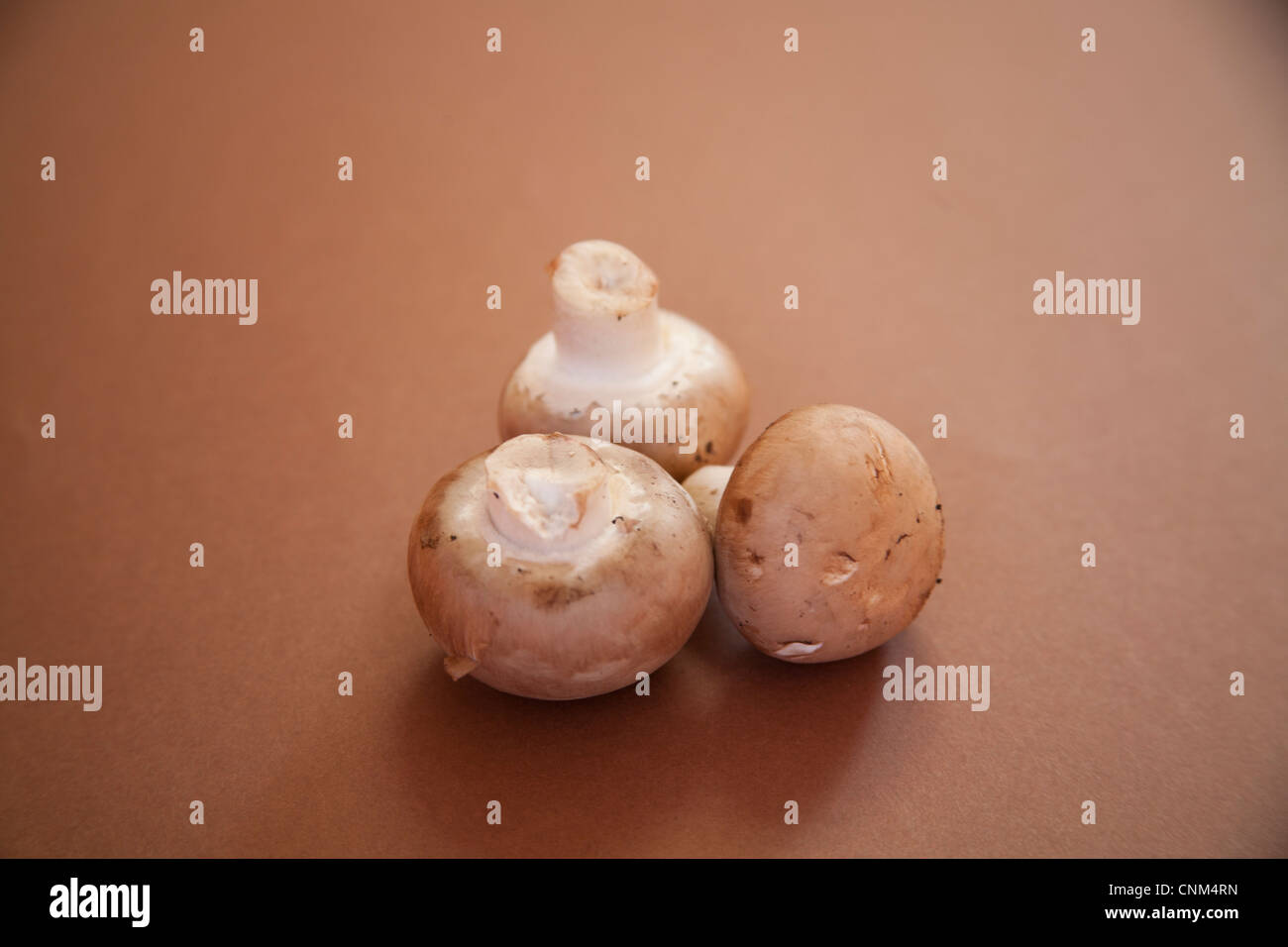 Three chestnut mushrooms on a brown background Stock Photo