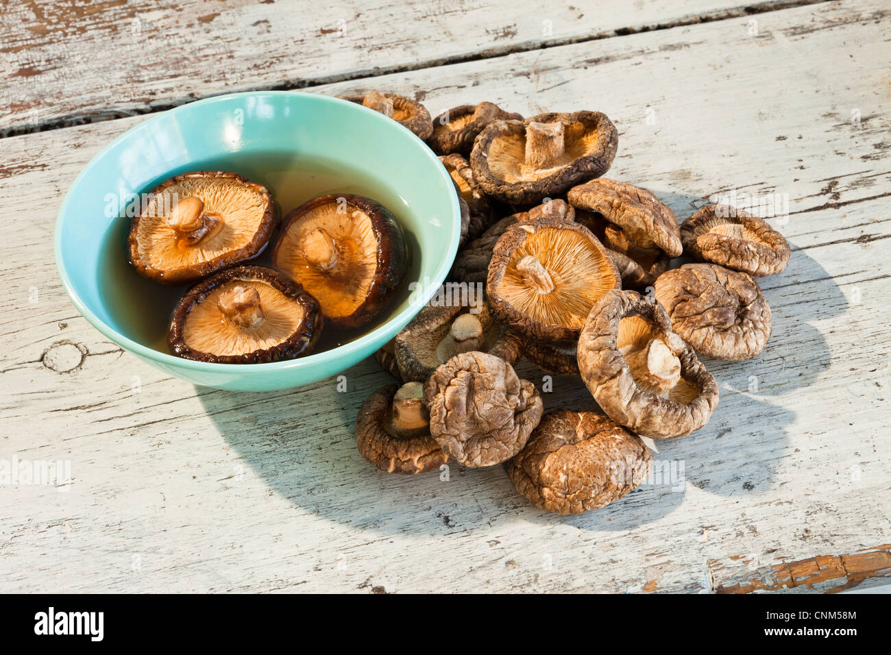 Dried Shiitake Mushrooms, medicinal and Culinary Stock Photo Alamy